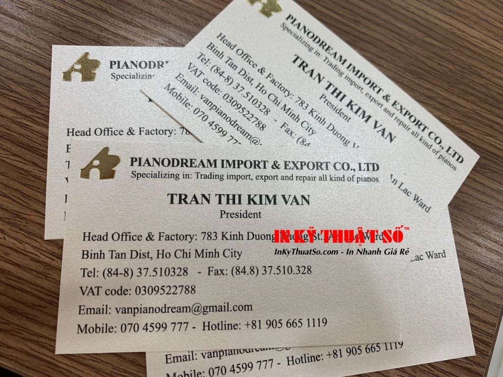 In business card giấy Art ép kim nhũ vàng - In Kỹ Thuật Số Since 2006